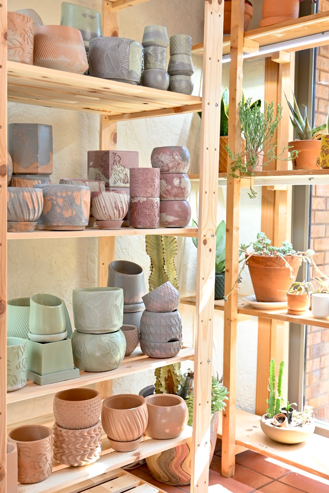 wholesale plant pot display ideas