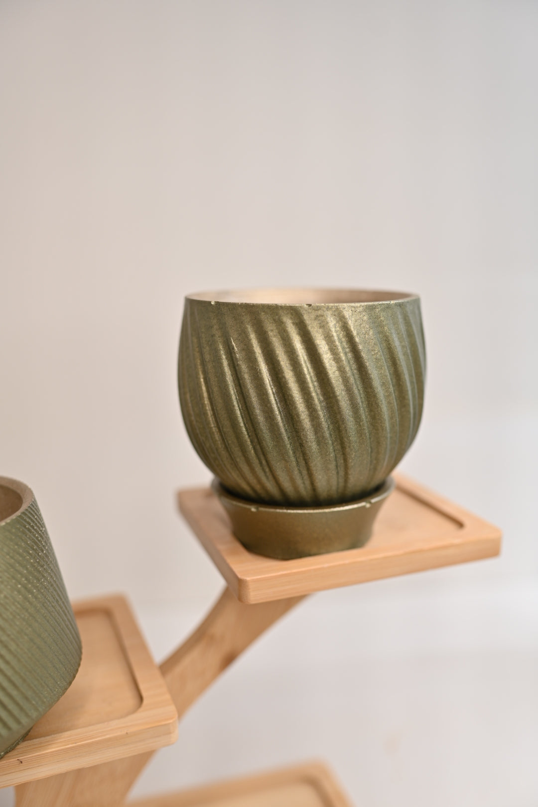 Tulip Pot + Saucer