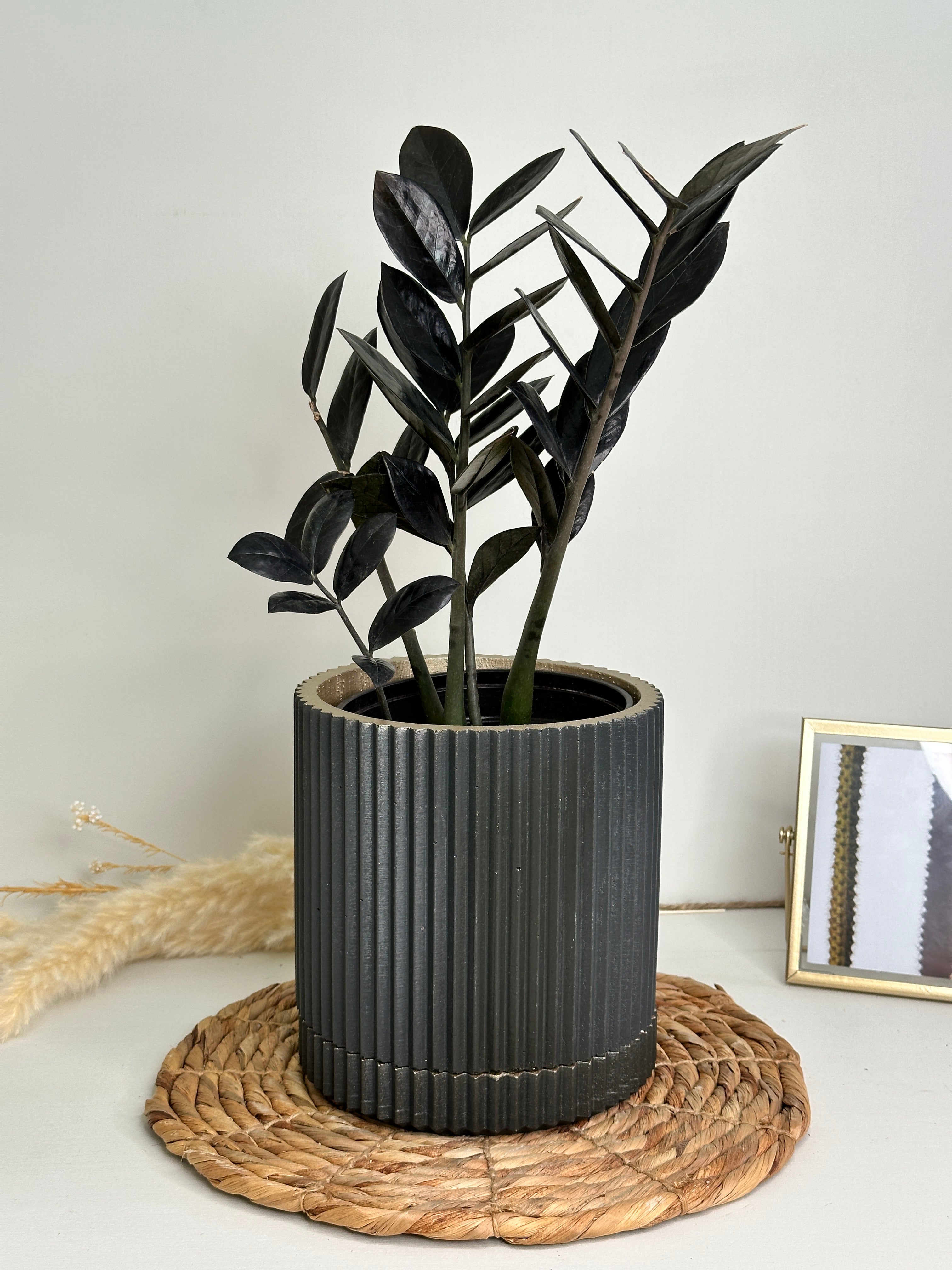 6 inch black pot with saucer large designer planter