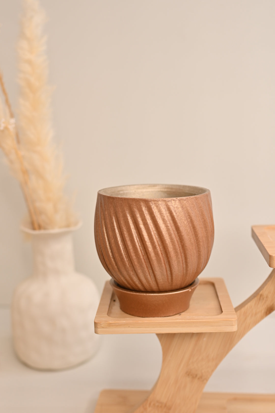 Tulip Pot + Saucer