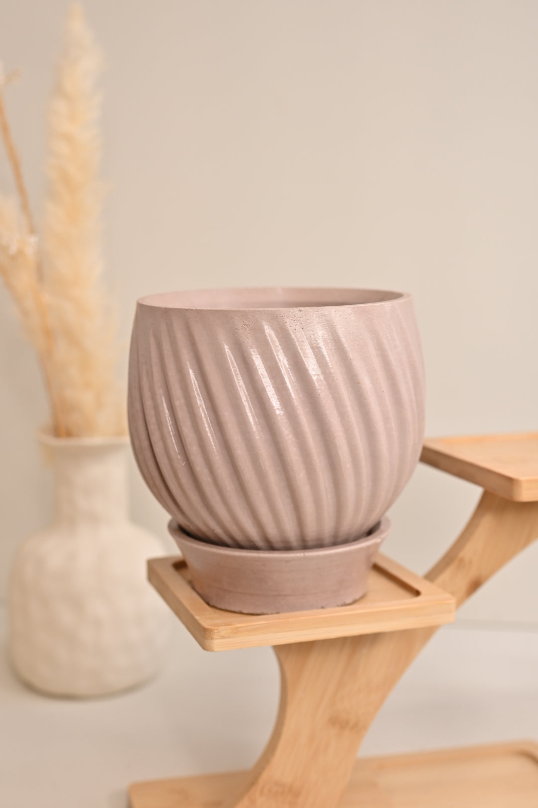 Tulip Pot + Saucer