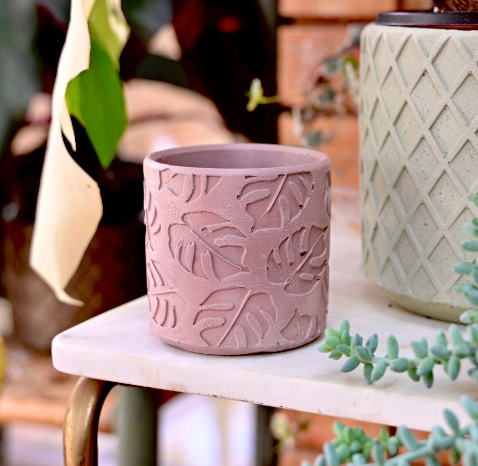 Monstera Leaf Pot