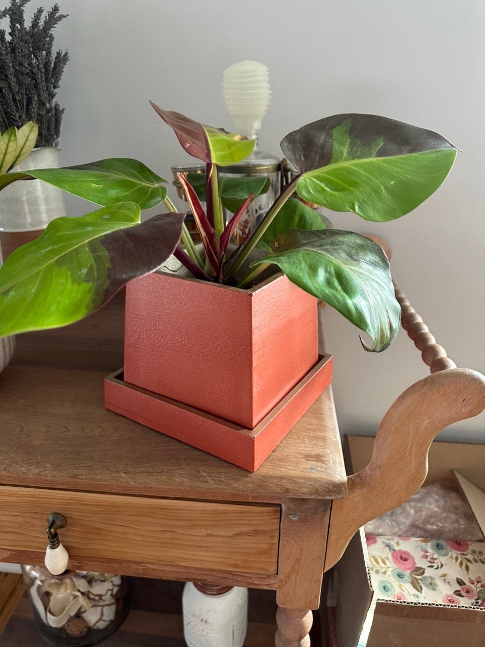 Tapered Square Pot + Saucer