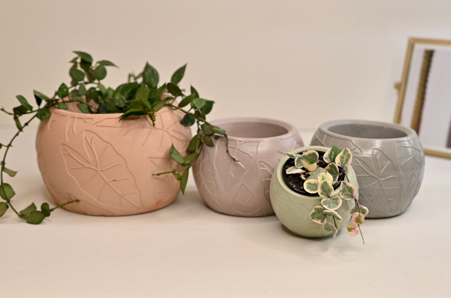 neutral earthy color plant pots