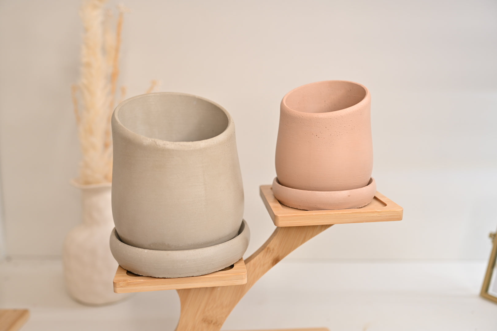 Tilt Pot with Saucer