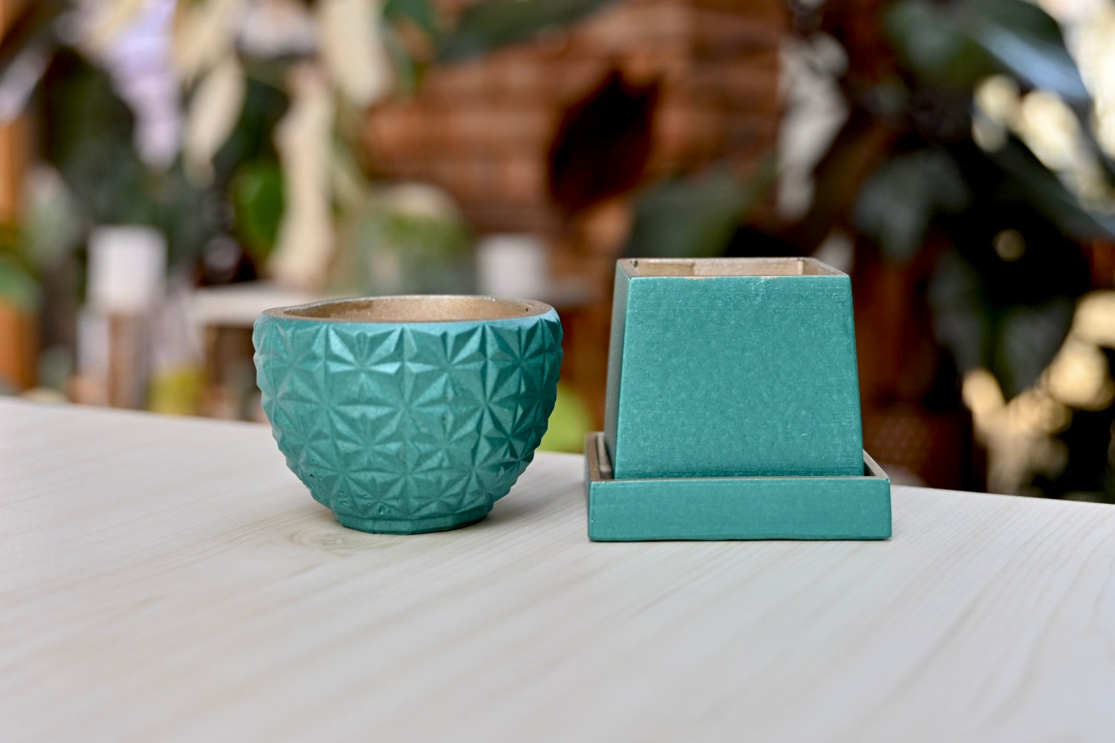 Tapered Square Pot + Saucer