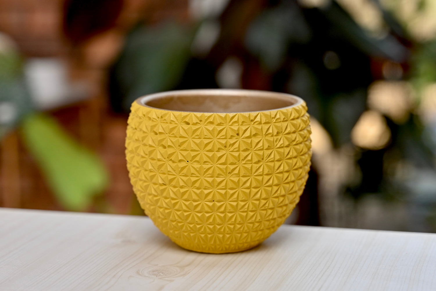 Geo Bowl Planter