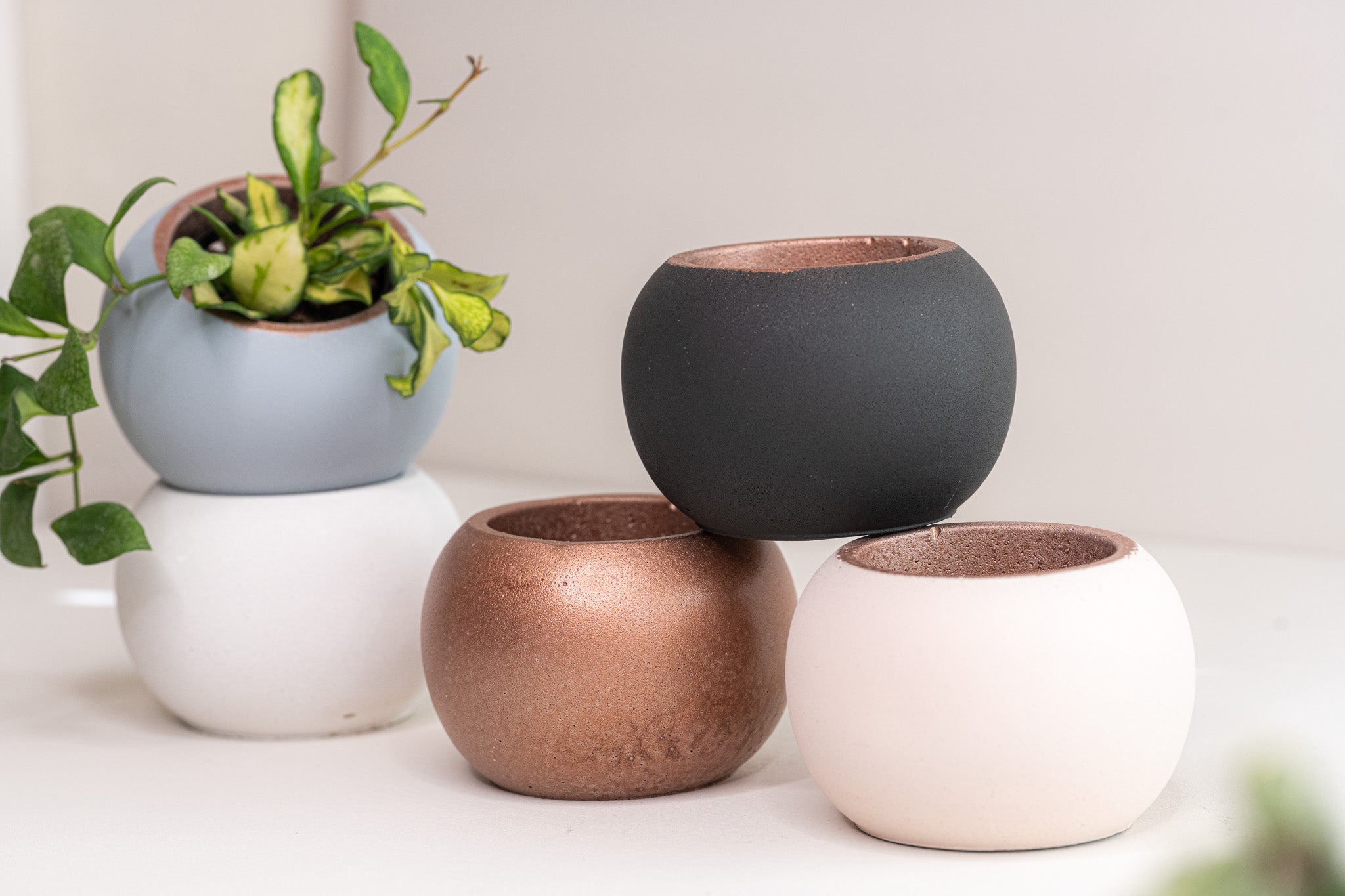 Bowl Planter