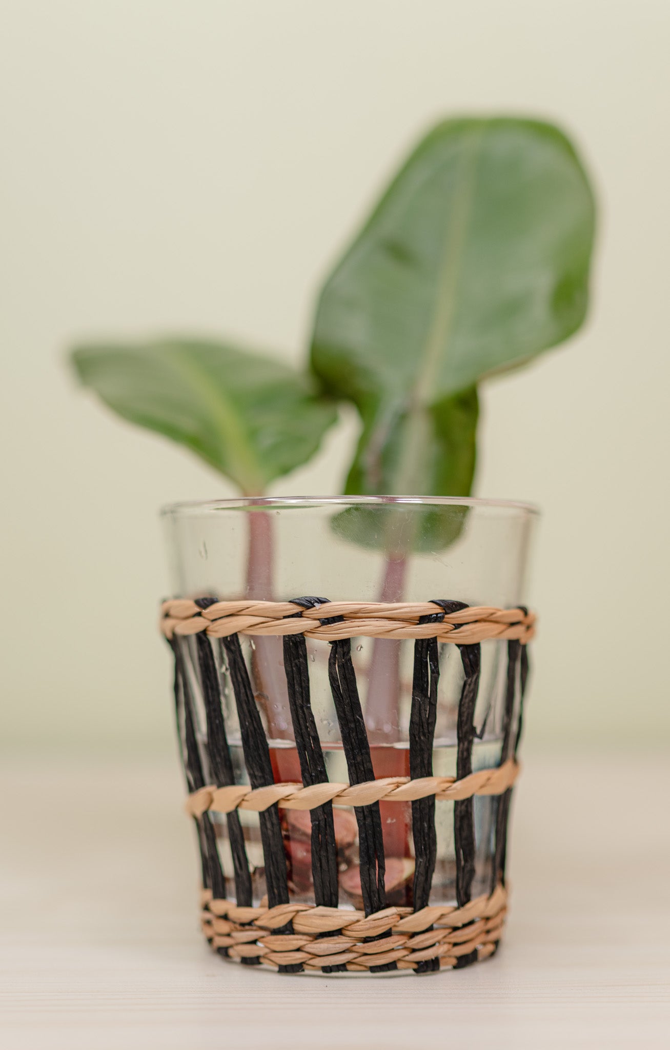 2 Pack Rattan Wrapped Glasses
