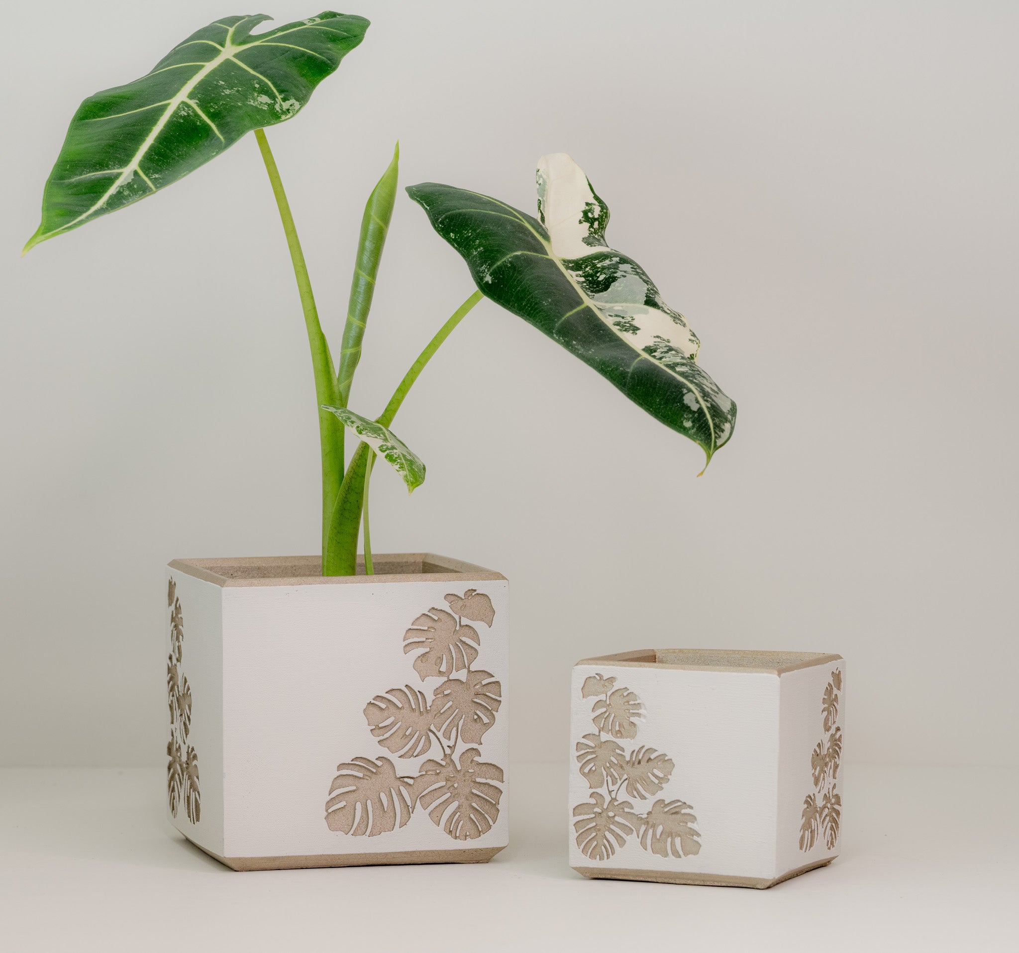 square planter concrete pot wholesale pottery bulk flower pots
