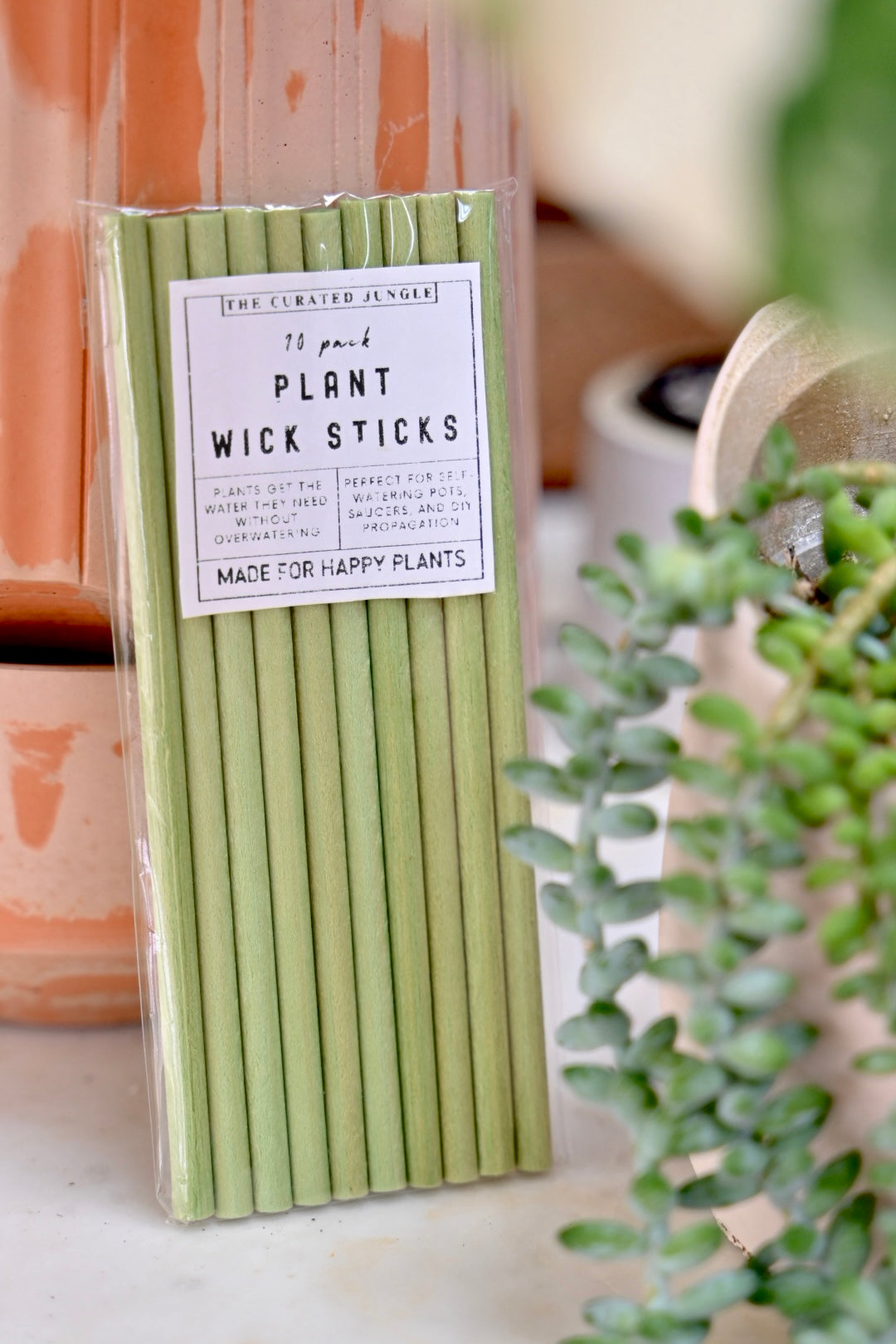 stick in plant pot Plant Wick Sticks 10-Pack