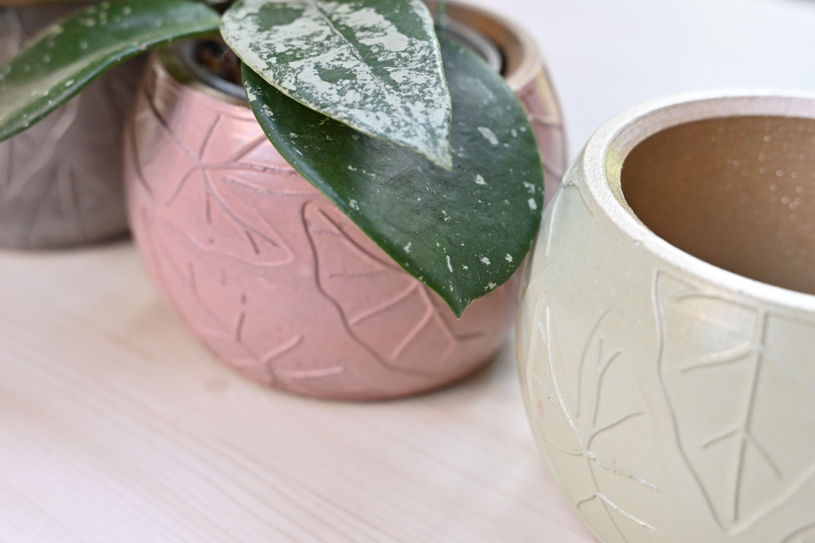 Leaf Bowl Planter