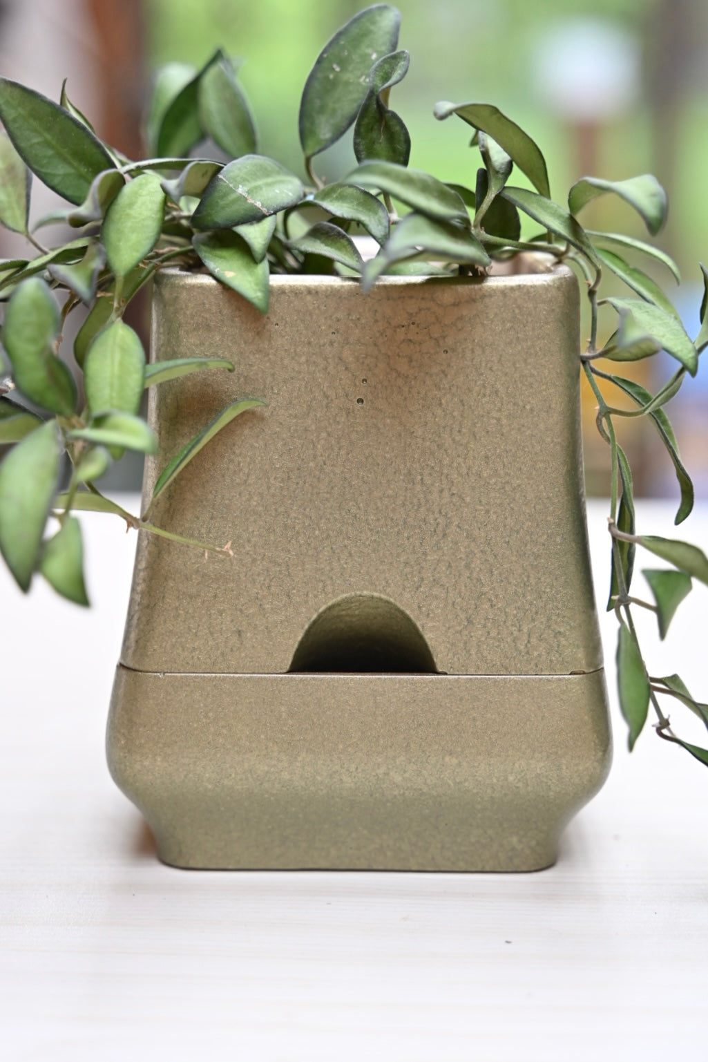 Belle - Self-Watering Concrete Planter