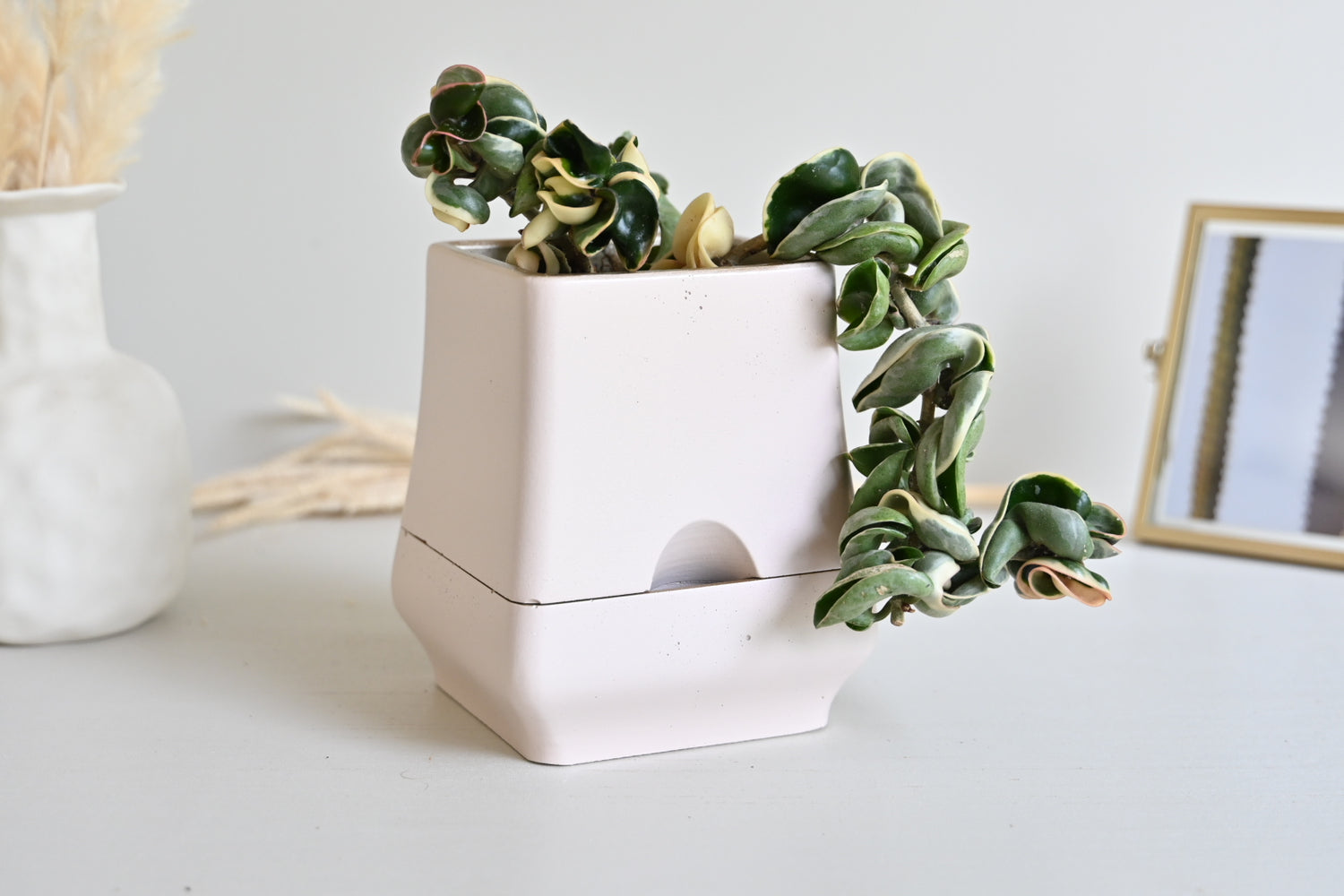 Belle - Self-Watering Concrete Planter