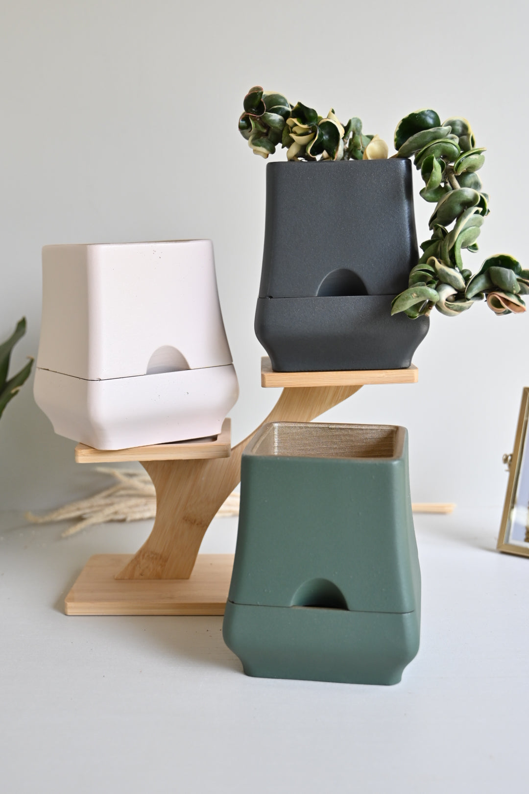 Belle - Self-Watering Concrete Planter