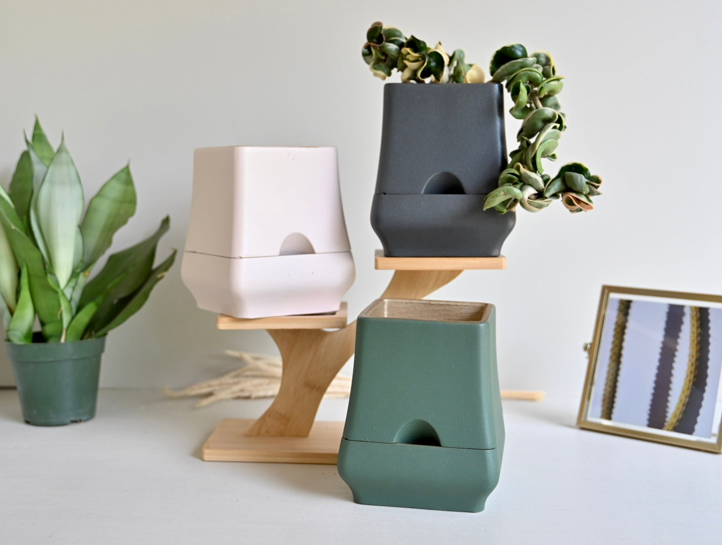 Belle - Self-Watering Concrete Planter