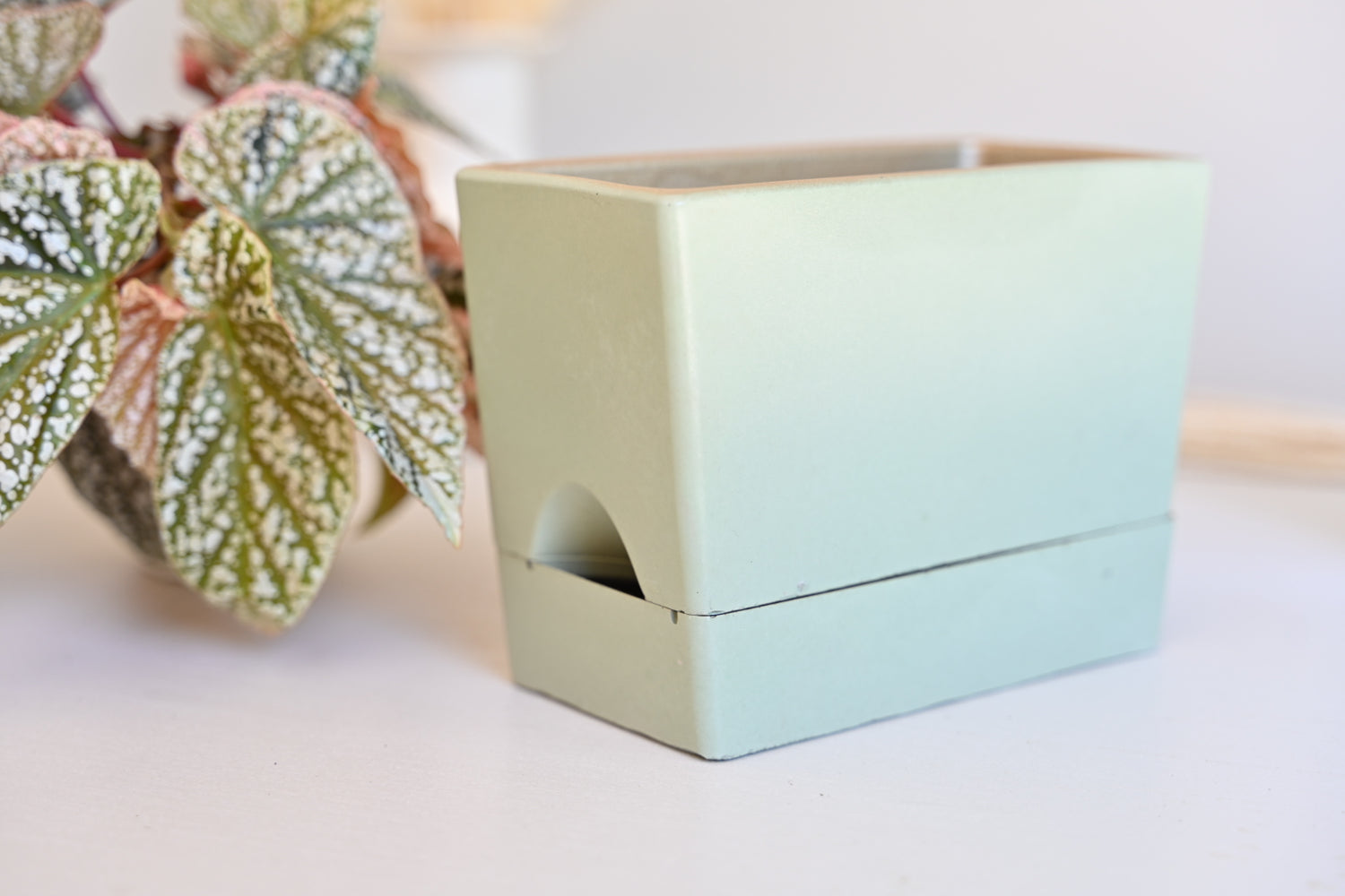 Self Watering Rectangle Planter Box