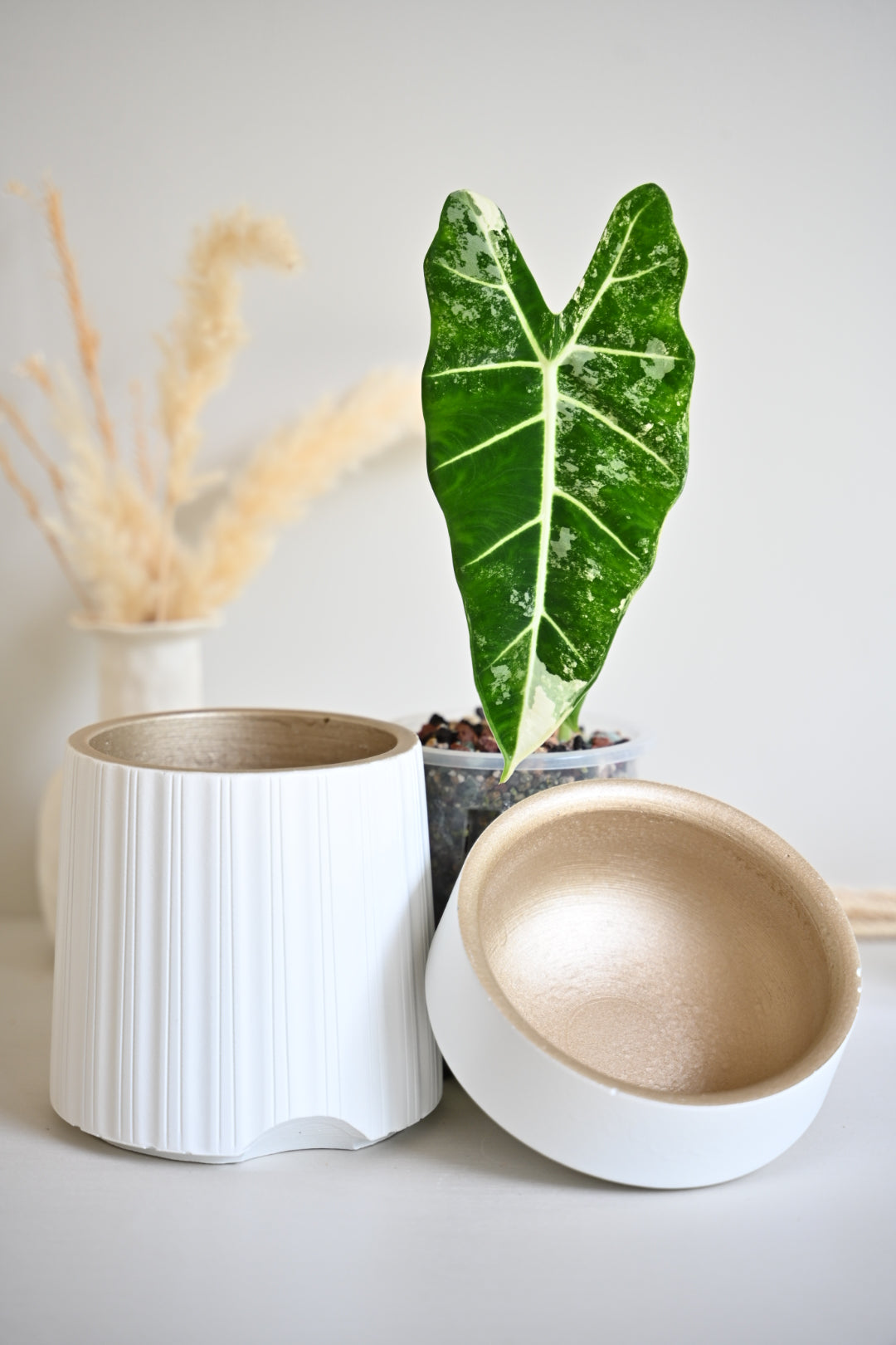 The Column – Tall Striped Self-Watering Concrete Pot (Fits 4.7" Slotted Nursery Pots)