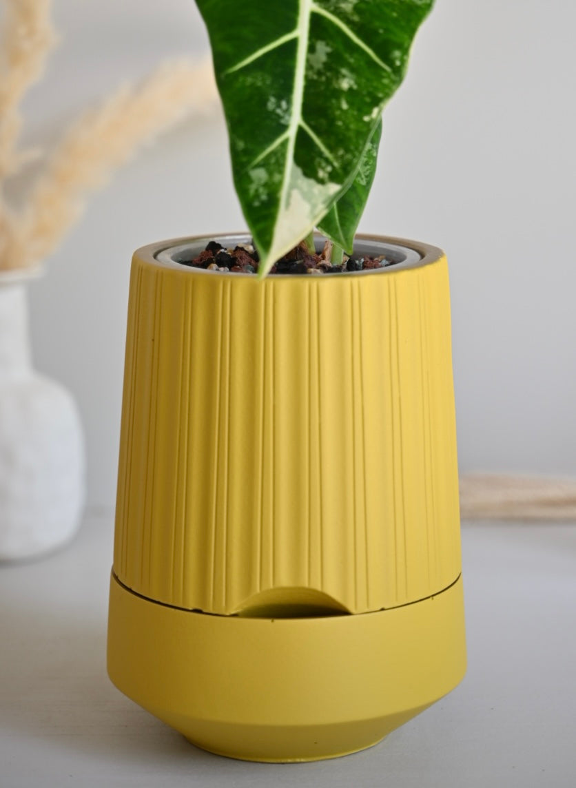 The Column – Tall Striped Self-Watering Concrete Pot (Fits 4.7" Slotted Nursery Pots)