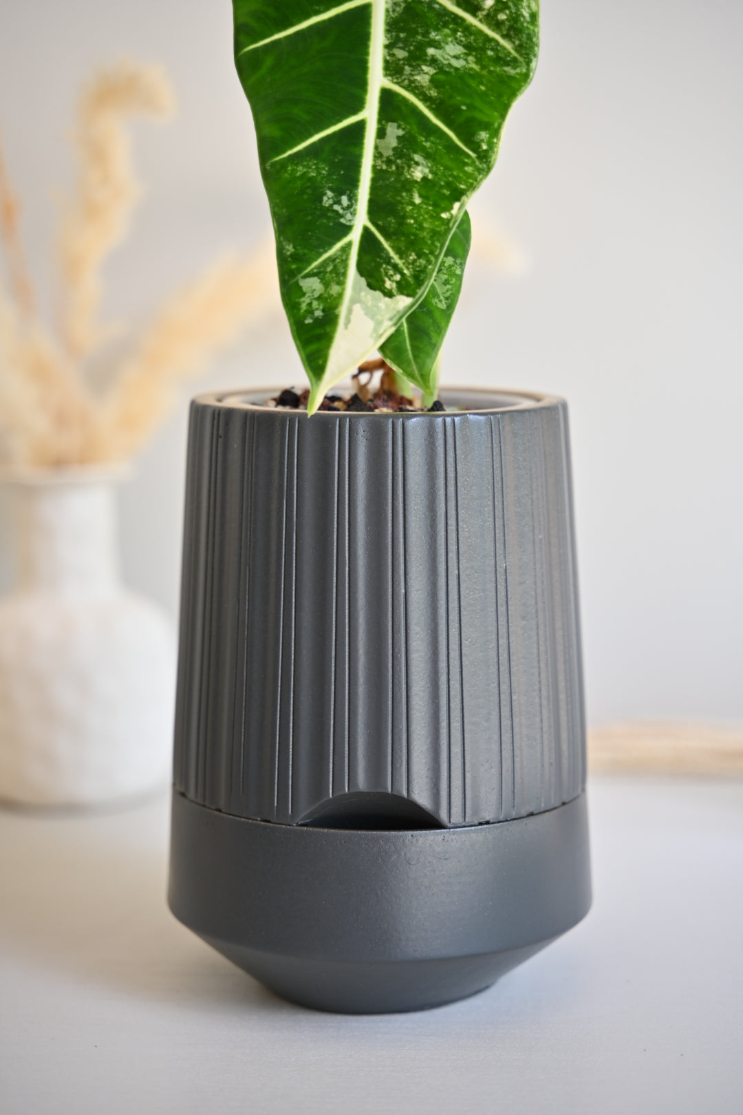 The Column – Tall Striped Self-Watering Concrete Pot (Fits 4.7" Slotted Nursery Pots)