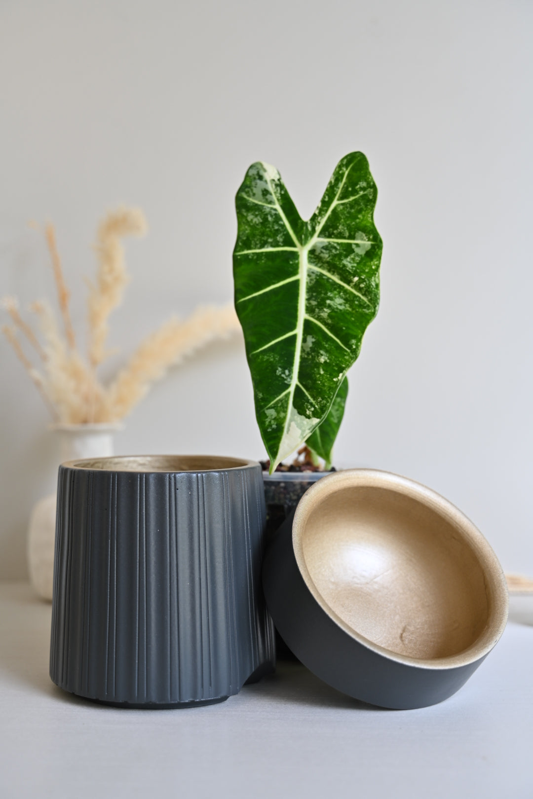 The Column – Tall Striped Self-Watering Concrete Pot (Fits 4.7" Slotted Nursery Pots)