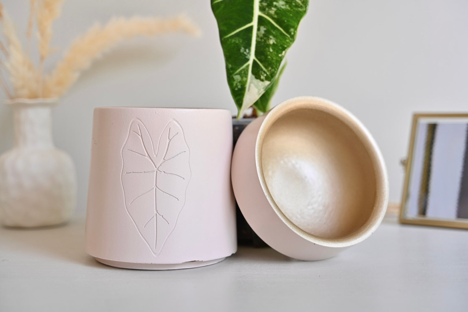Tall Self-Watering Alocasia Planter