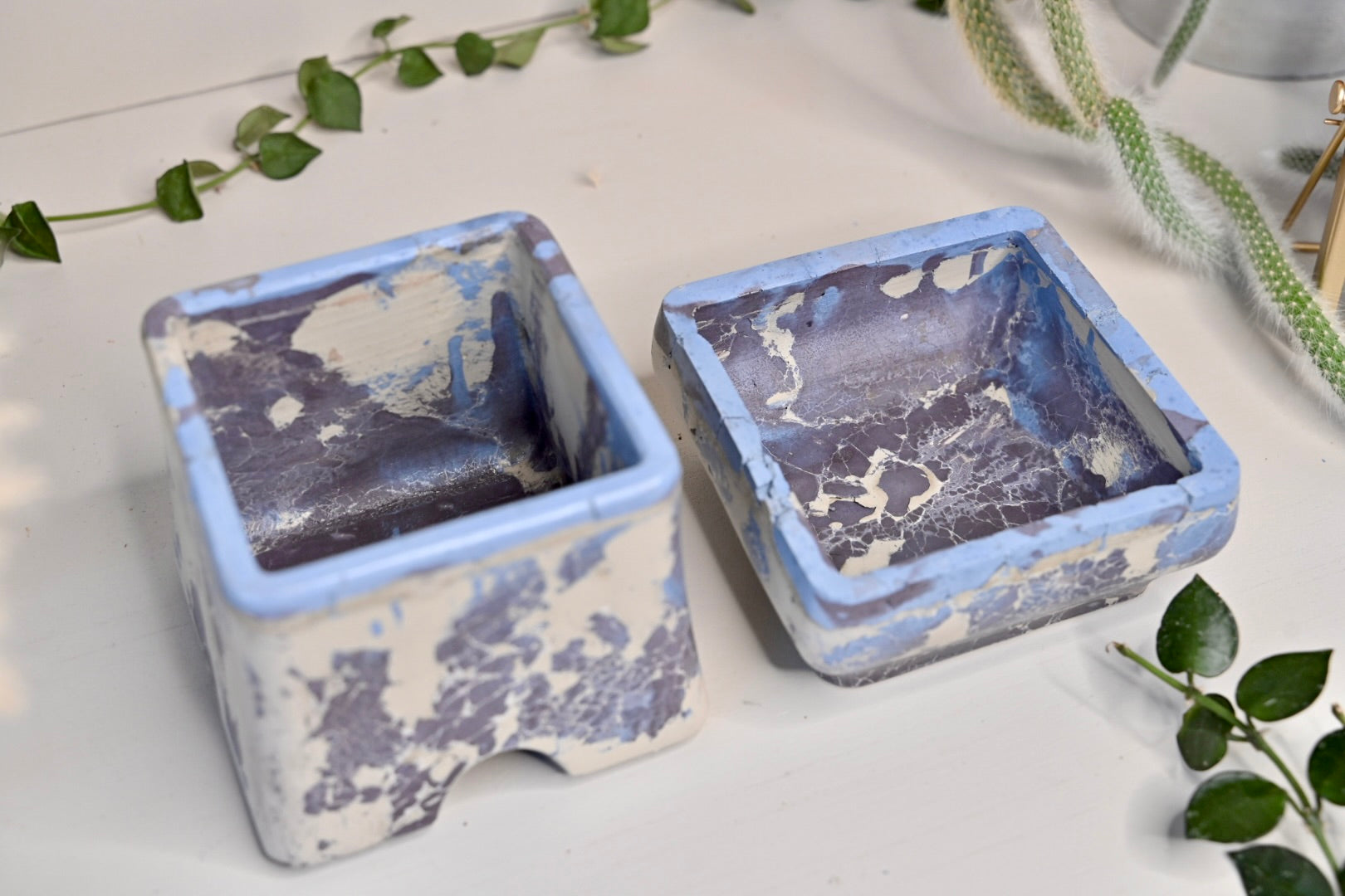 handmade self watering pot for plant collectors