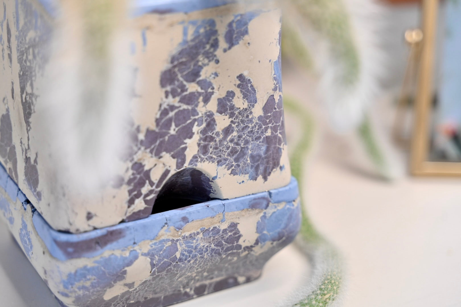 handmade self watering pot for plant collectors