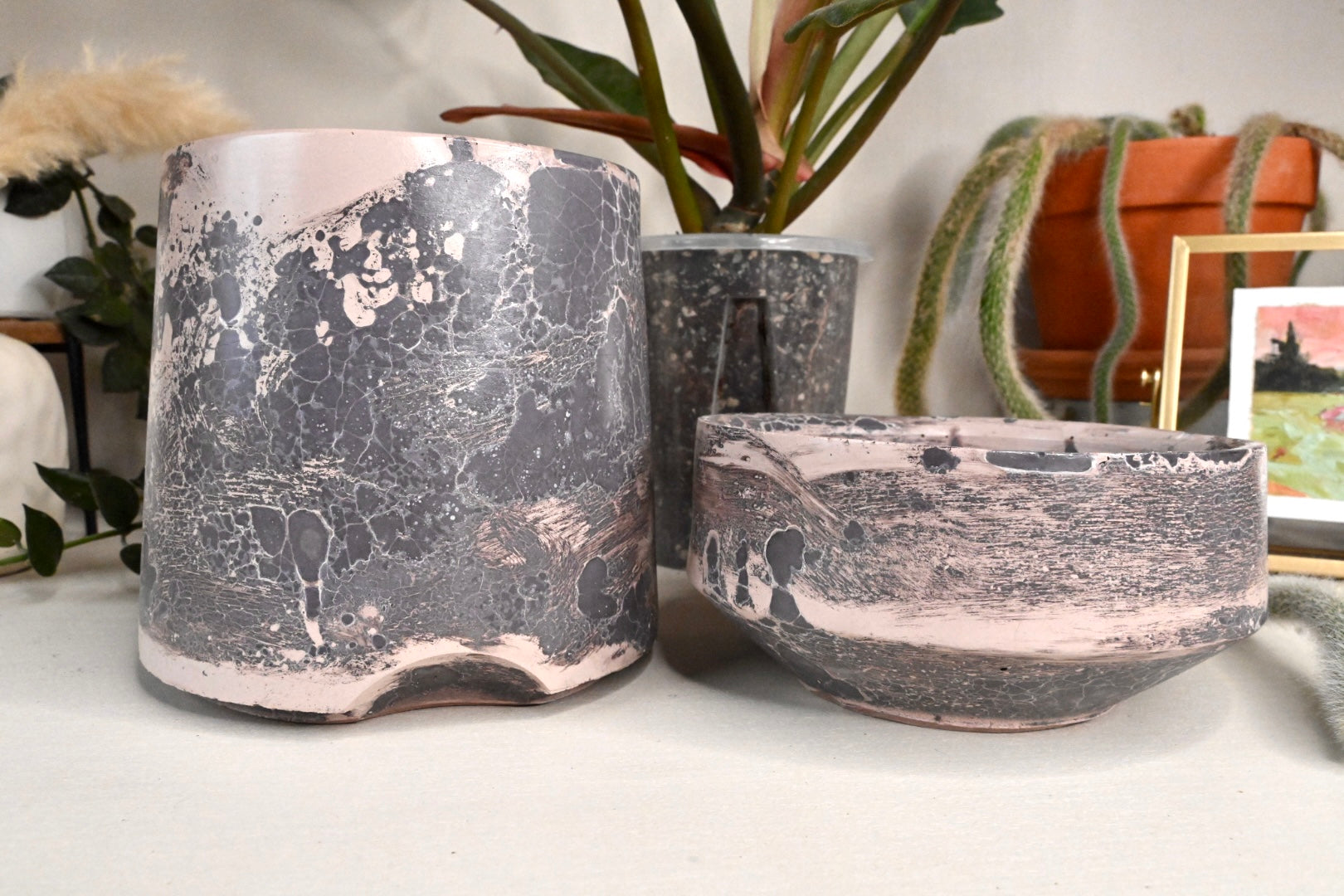 Tall Self-Watering Alocasia Planter Unique