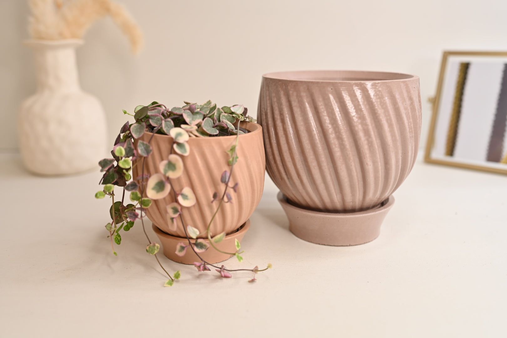 earthy plant pots with saucer