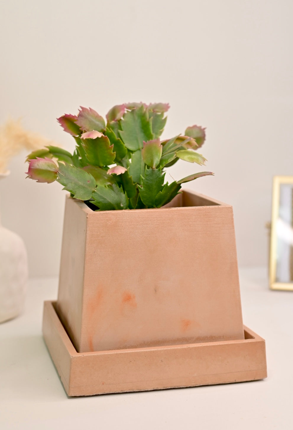 wholesale square plant pot with saucer terracotta unique designer planter