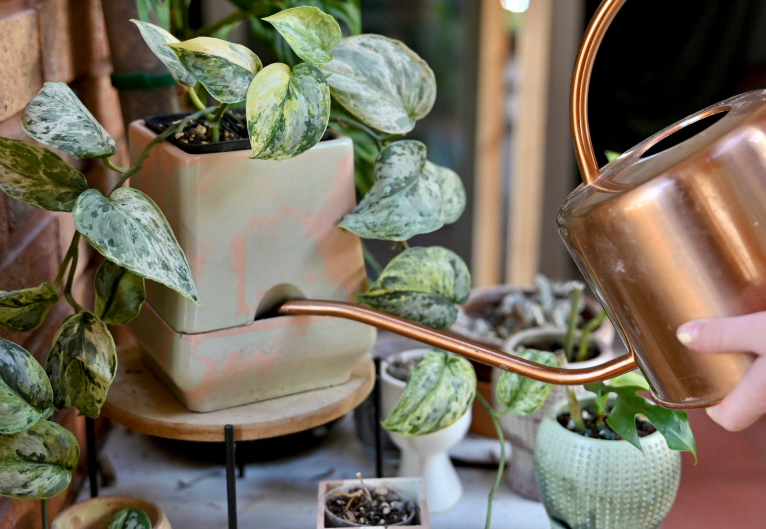 water a self watering planter