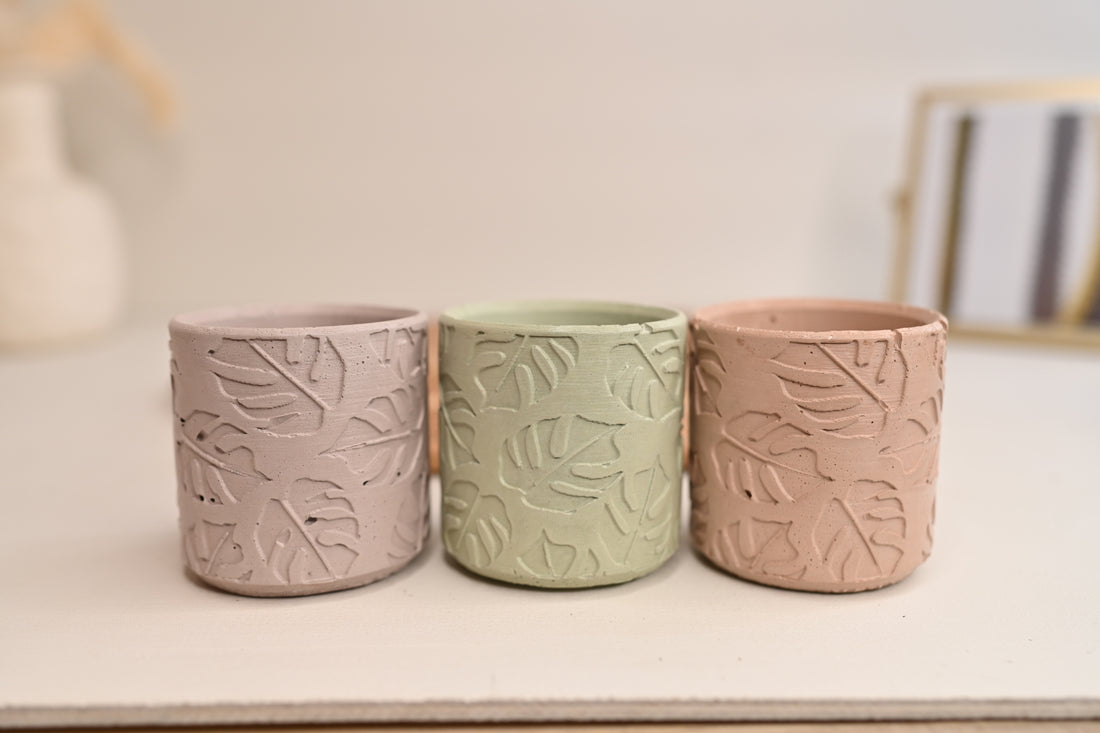 Monstera Mini Pot Set