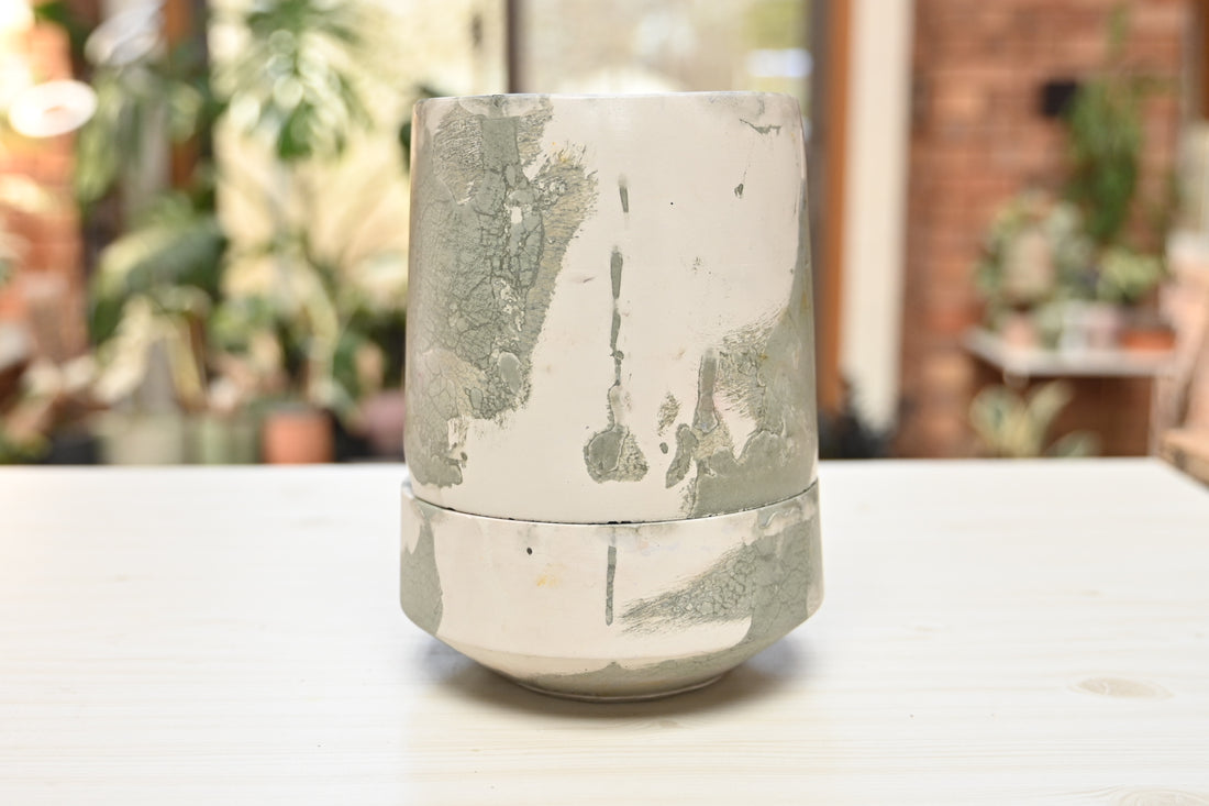 Tall Self-Watering Alocasia Planter Unique