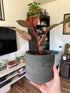 concrete black pot planter