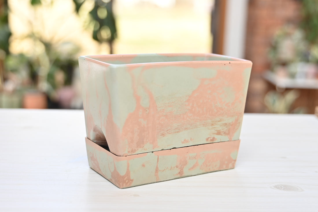 Self Watering Rectangle Planter Box 7X4