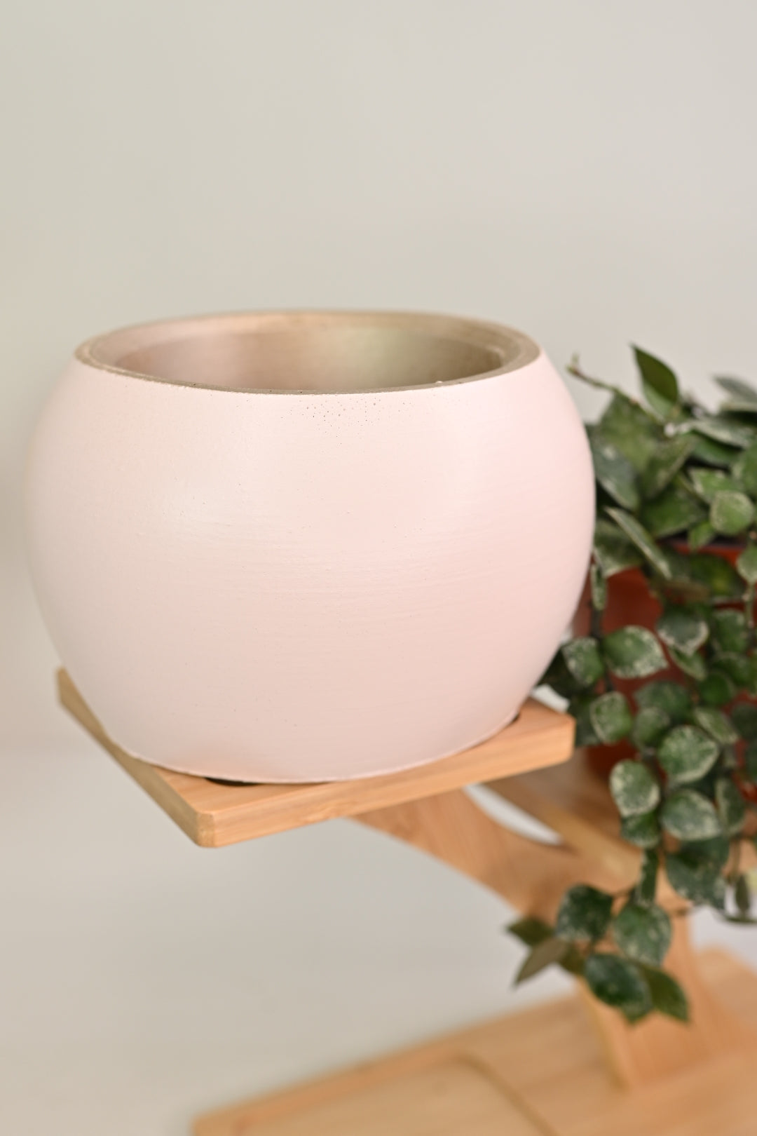 3&quot; Bowl Planter