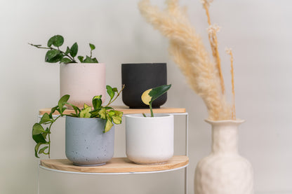 Mini-vessel-plant-pot-gift