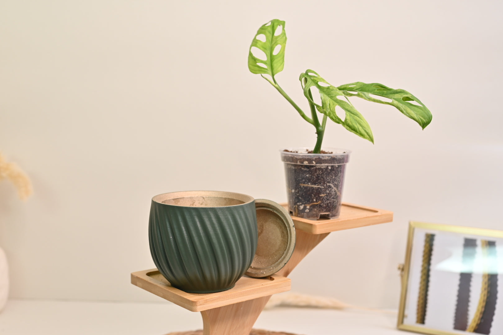 Green tulip pot with saucer luxury designer planter