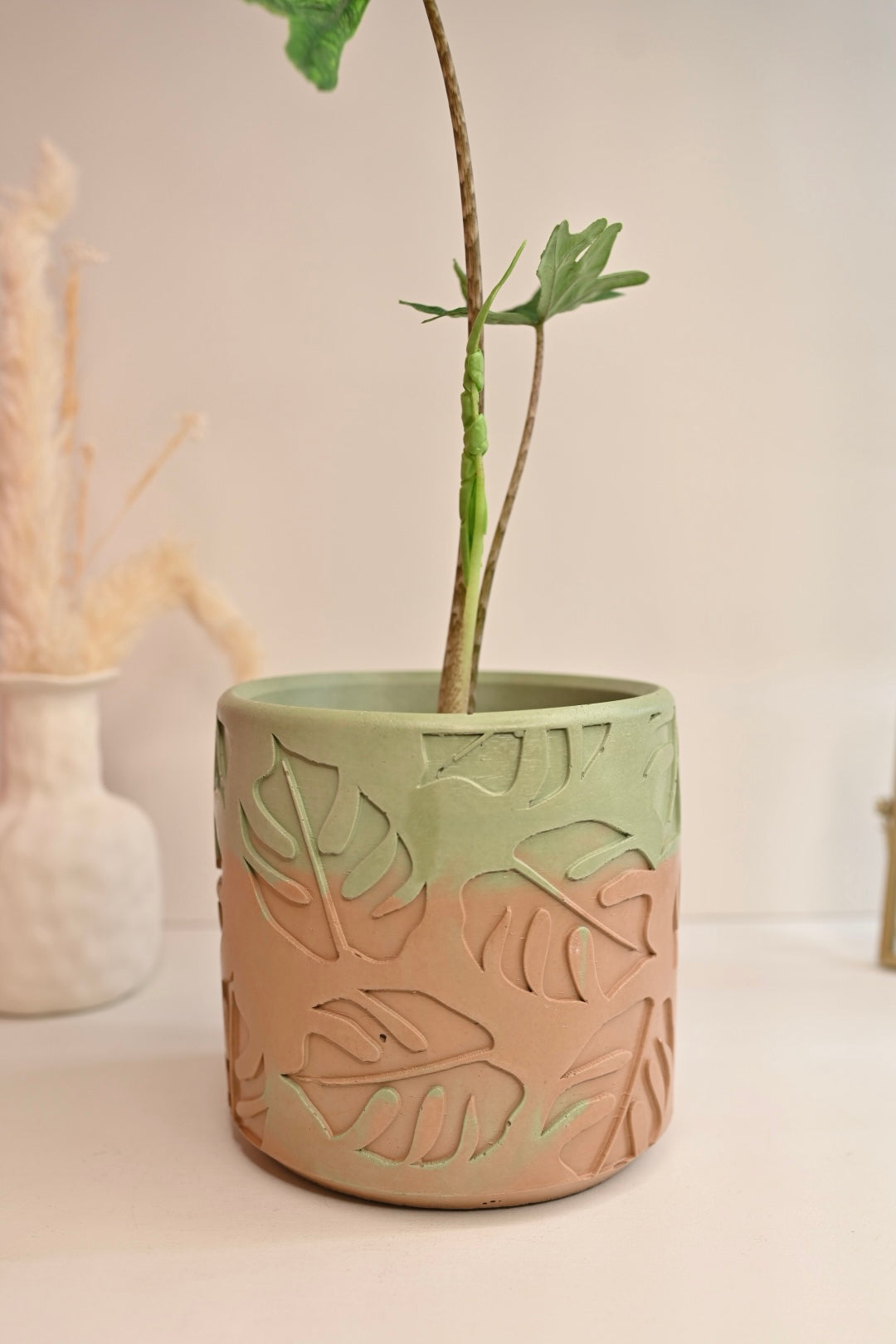 Alocasia Jacklyn in Handmade Leaf Pot