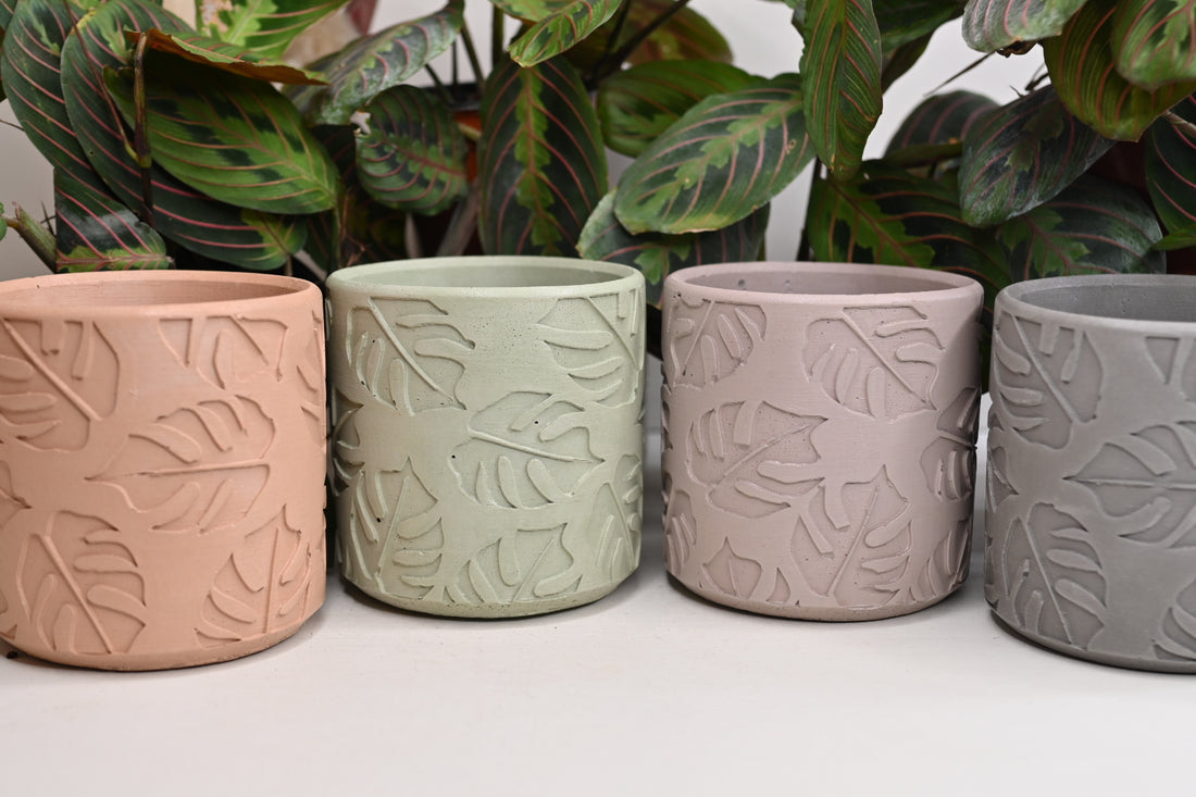 Earthy Monstera Leaf Pot