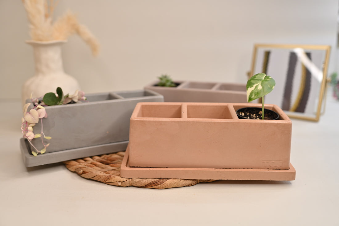 Earthy Windowsill Planter