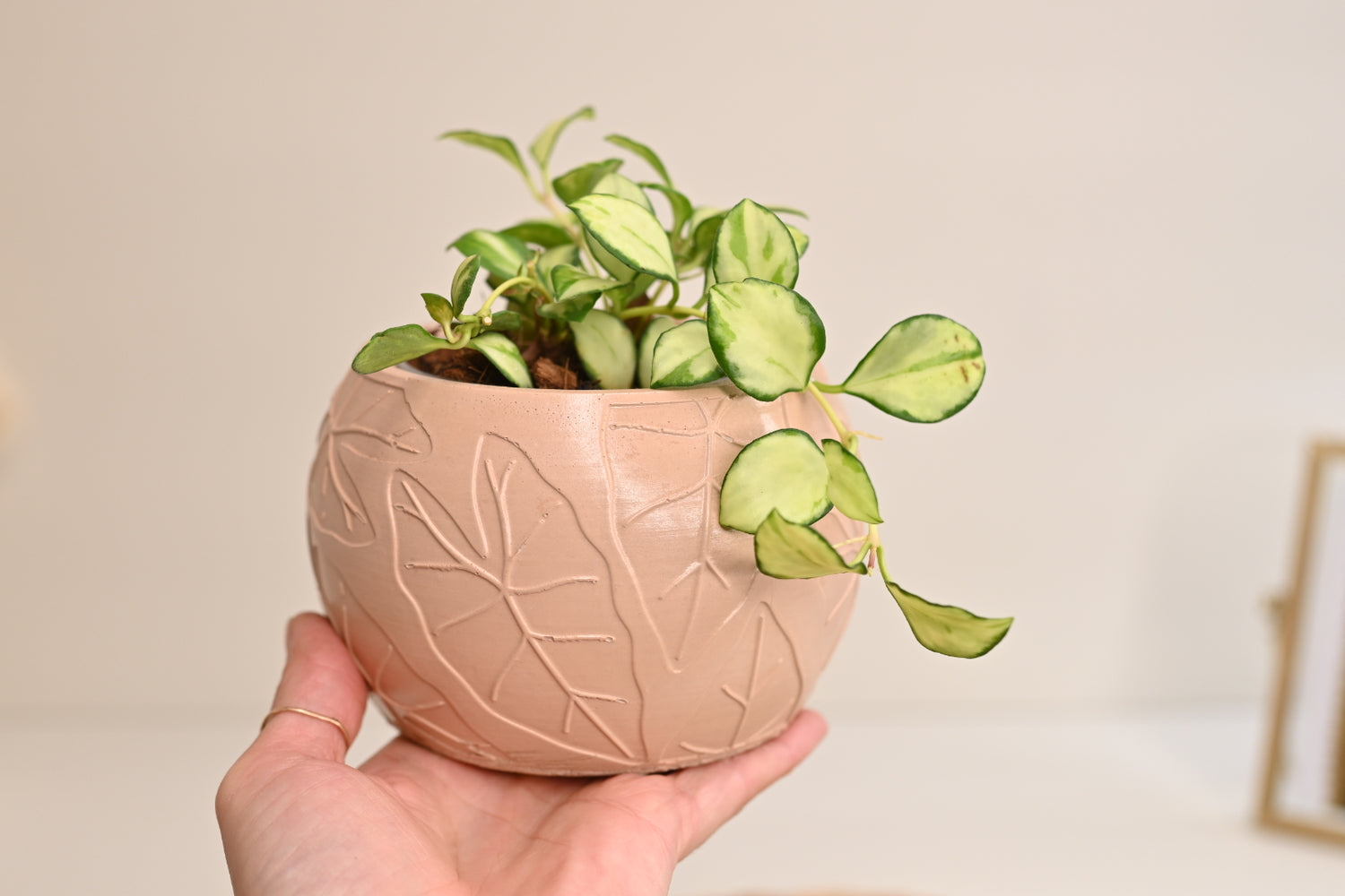 2&quot; Leaf Bowl Planter