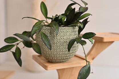 Geo Bowl Planter