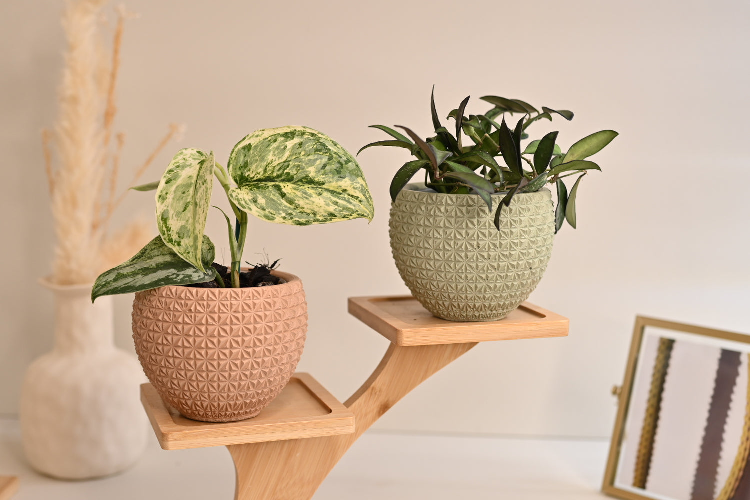 Geo Bowl Planter