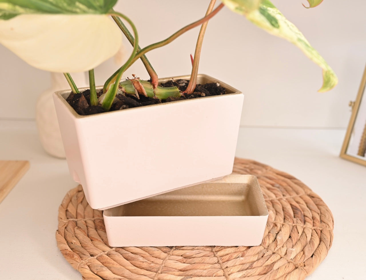 Self Watering Rectangle Planter Box