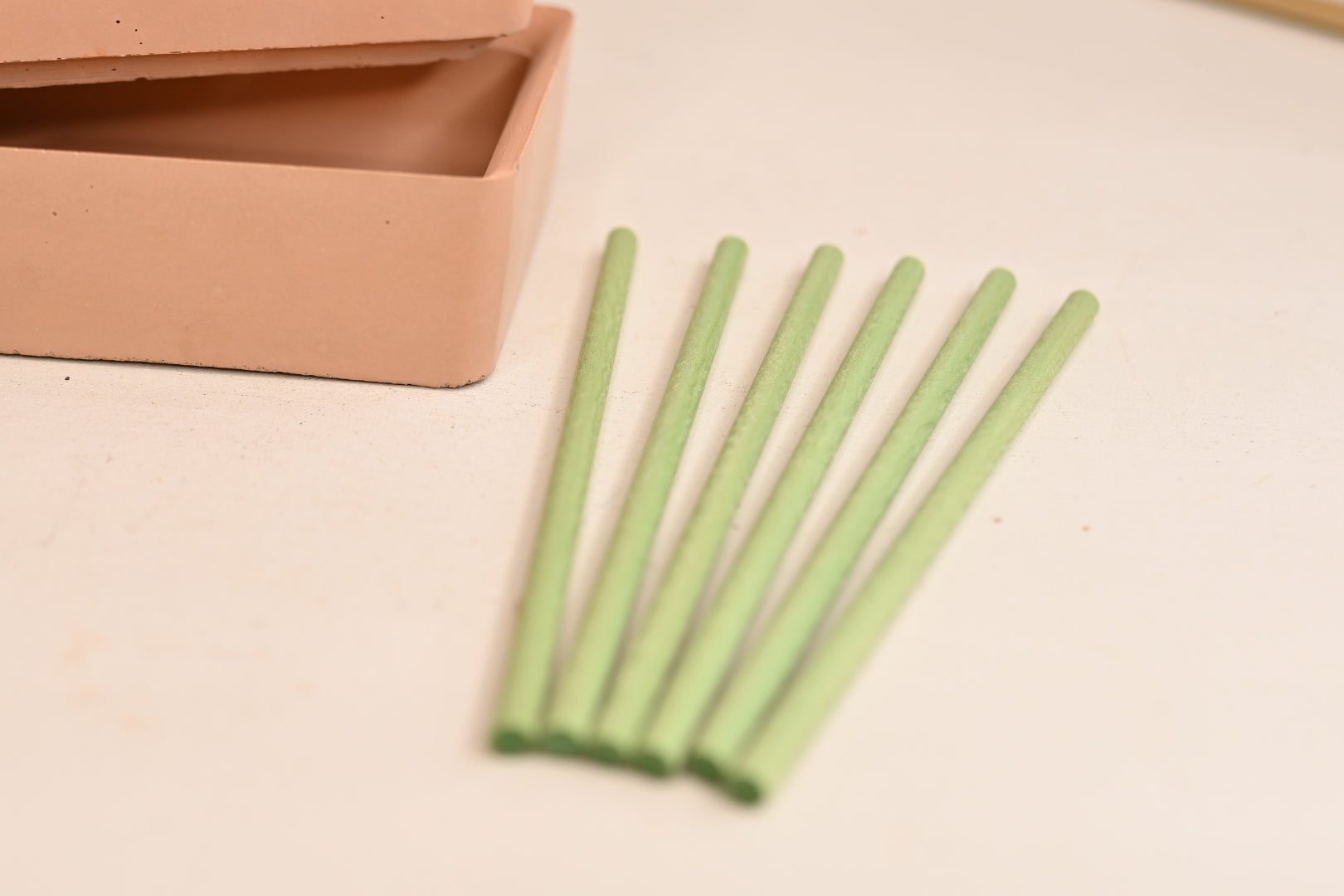 Plant Wick Sticks 10-Pack