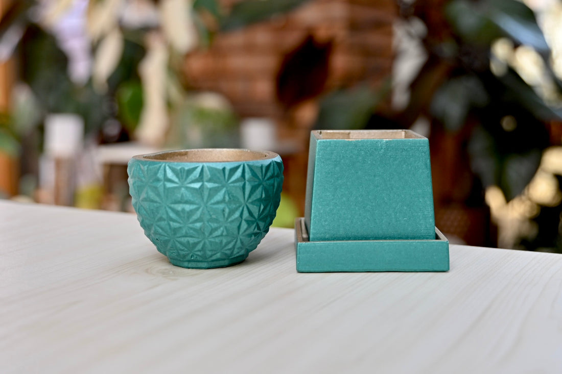 BOGO $5 Plant Pots Summer Colors
