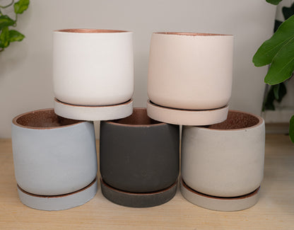 4 inch modern concrete pot with saucer handmade planter wholesale pottery