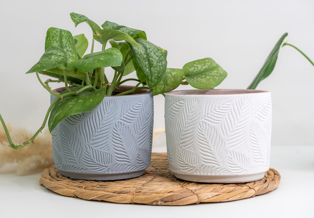 5" Banana Leaf Pot